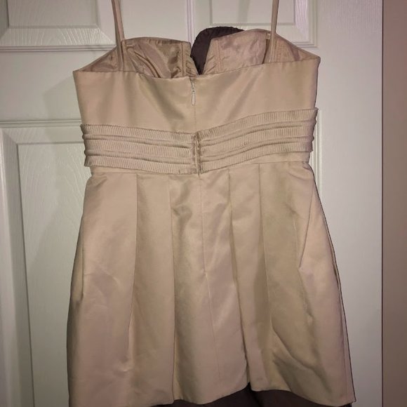 BCBG MaxAzria Dress - Picture 6 of 6